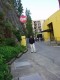 062Tantor_at_CNET.JPG