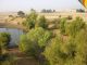 037Watch_the_trees.JPG