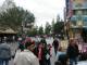 015FantasyLand.jpg
