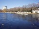 007Charles_River.JPG