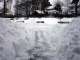 043Neve-18-Fev.JPG