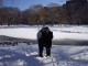019Public_Gardens.JPG