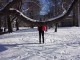 023Boston_Common.JPG