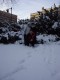 047Public_Gardens.JPG