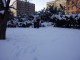 048Public_Gardens.JPG