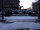 050Public_Gardens.JPG