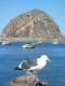 104MorroBay.jpg