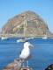 105MorroBay.jpg