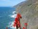 134BigSur.jpg