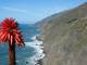 135BigSur.jpg