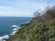 158BigSur.jpg