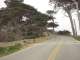 027-17-Mile-Drive.JPG