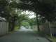033-17-Mile-Drive.JPG
