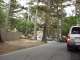 035-17-Mile-Drive.JPG
