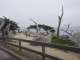046-17-Mile-Drive-GhostTree.JPG