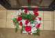 051RosaParaCaro.JPG