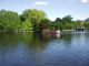 009Swan_Boat.JPG