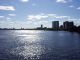 036Primavera_Charles_River.JPG