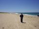 098CapeCod.JPG