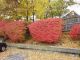 026Spring_Colors.JPG