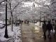 050FirstSnowOfTheSeason.JPG
